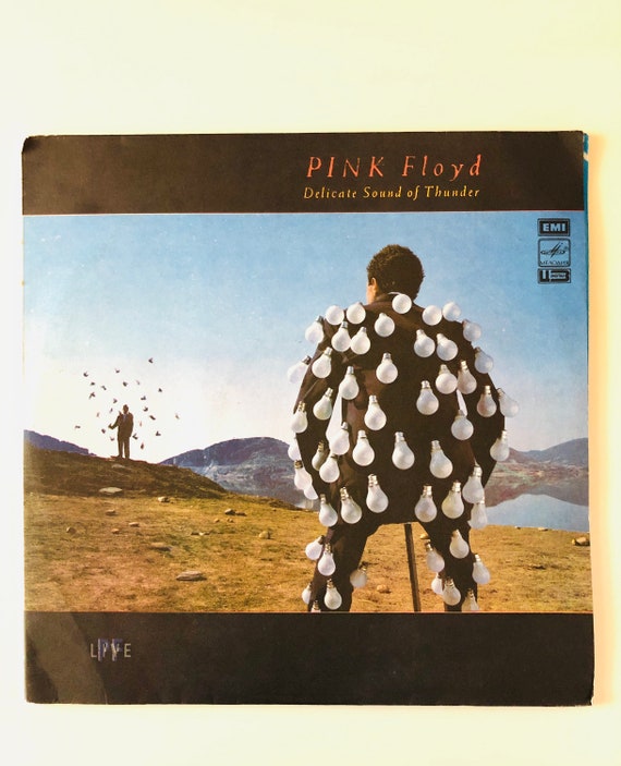 Rare 1989 PINK FLOYD Delicate Sound of Thunder Soviet Melodia