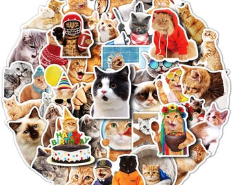 Meme Katzen Aufkleber Katzenliebhaber Sticker Pack wasserfest
