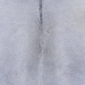 May include: Close-up of a light gray cowhide rug with a natural, textured surface.