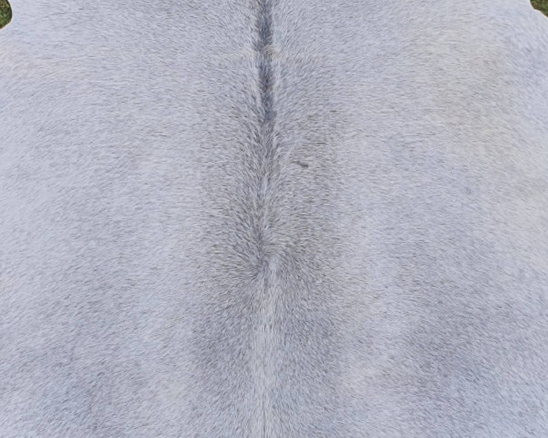 May include: Close-up of a light gray cowhide rug with a natural, textured surface.