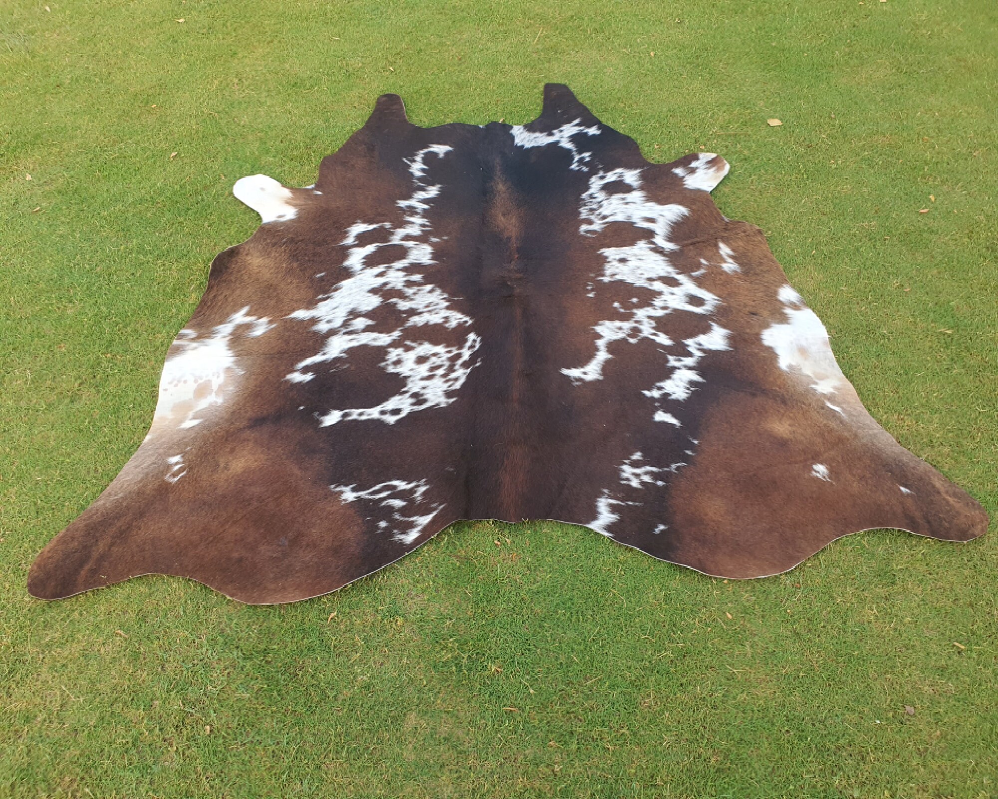 BRIC BROWN Italian Calfskin Calf cow cowhide upholstery leather skin