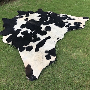 Cowhide Rug-Black and White Cowhide--Hair on Rugs-Beautiful Rugs-Tri-colour Rugs-Brindle Cowhide-Handmade Rugs-Animal Skin Rugs-Floor Rugs