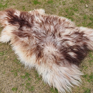May include: A sheepskin rug with a white and brown color pattern. The rug is laid out on a grassy surface.