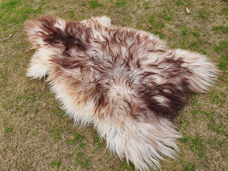 May include: A sheepskin rug with a white and brown color pattern. The rug is laid out on a grassy surface.
