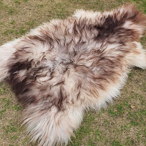 May include: A sheepskin rug with a brown and white color pattern. The rug is laid out on a grassy surface.