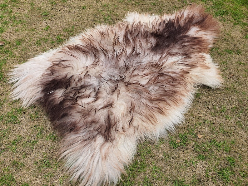 May include: A sheepskin rug with a brown and white color pattern. The rug is laid out on a grassy surface.