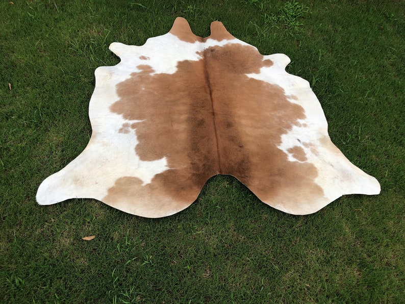 May include: A brown and white cowhide rug with a natural, irregular shape. The hide has a light brown center with white patches throughout.