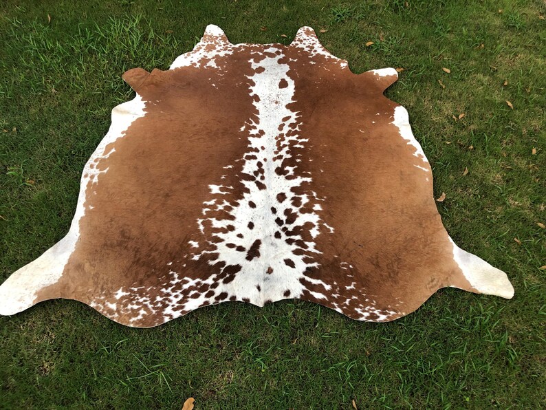 May include: A brown and white cowhide rug with a natural, spotted pattern. The hide is laid out flat on a green grassy surface.