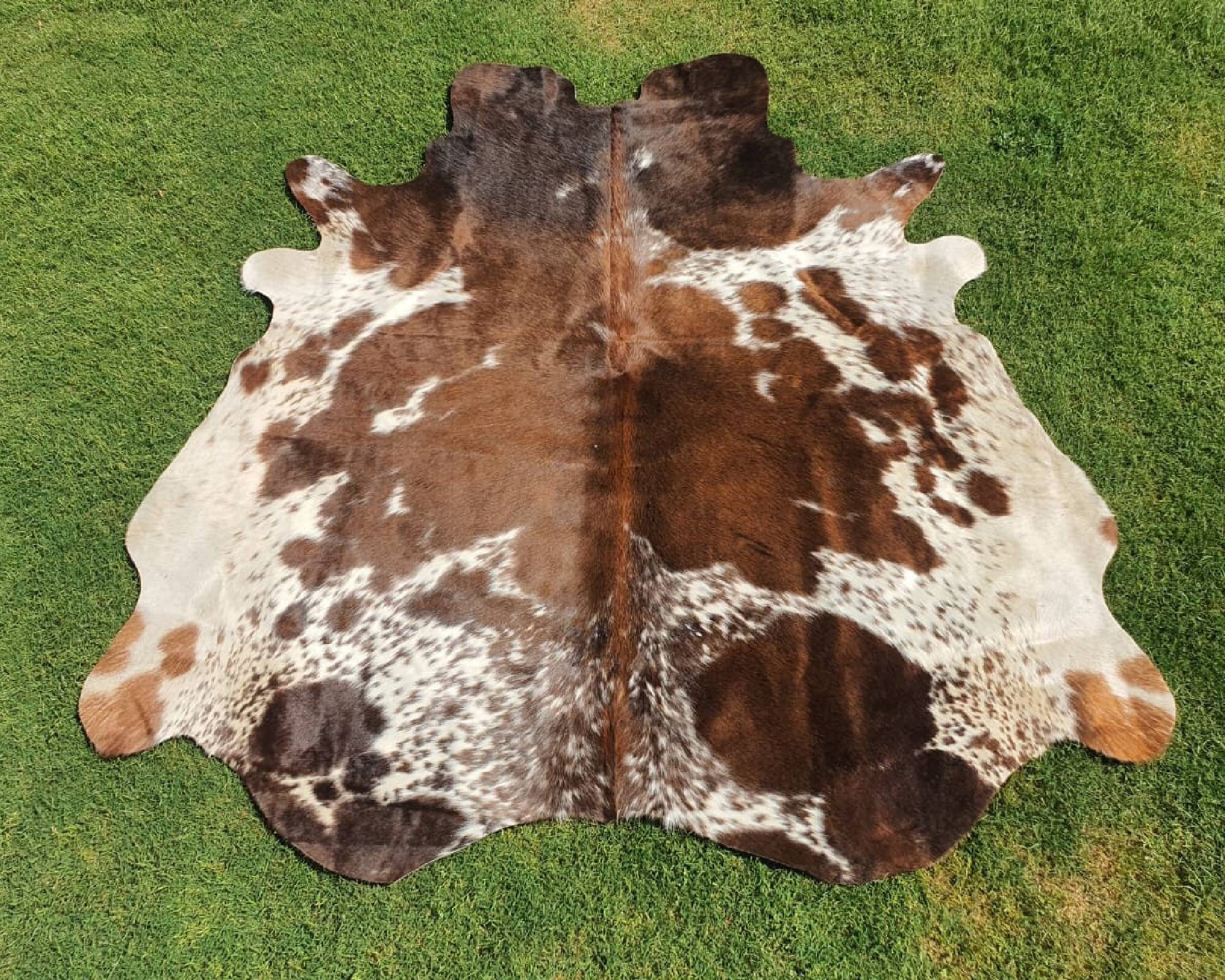 Best Brown Panda Print Cowhide Tricolor Animal Skin Brown - Etsy Best Brown Panda Print Cowhide Tricolor Animal Skin Brown - Etsy