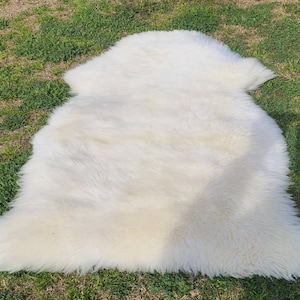 本物の羊皮の敷物、お部屋/床/ペット用の白い羊の毛皮、3 x 2フィートの天然羊の敷物