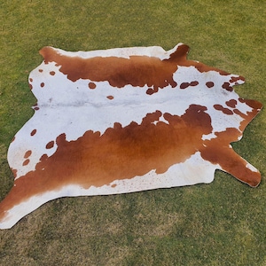 Genuine Brown and White Cowhide-Brazillian Cowhide-Hair on Hide for Living Room-Western Cowhide Decor-Handmade Floor Area Rug-Home Decor Rug