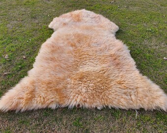 Echter Schaffellteppich, Beige Braun Echte Schaffell, Flauschige Leder Lammfell Teppich, Wohnzimmer Teppich, Teppich für Schlafzimmer Ästhetik