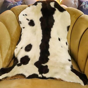 May include: A black and white cowhide rug with a brown border, placed on a yellow velvet armchair.