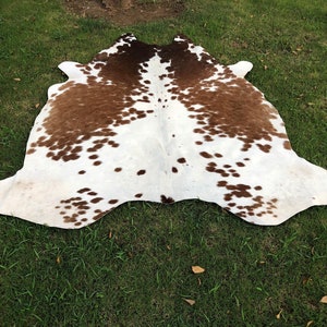 May include: A white cowhide rug with brown spots. The rug is laid out on a green grassy surface.