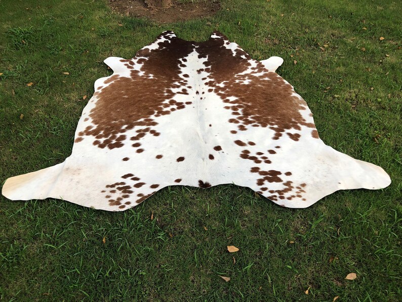 May include: A white cowhide rug with brown spots. The rug is laid out on a green grassy surface.
