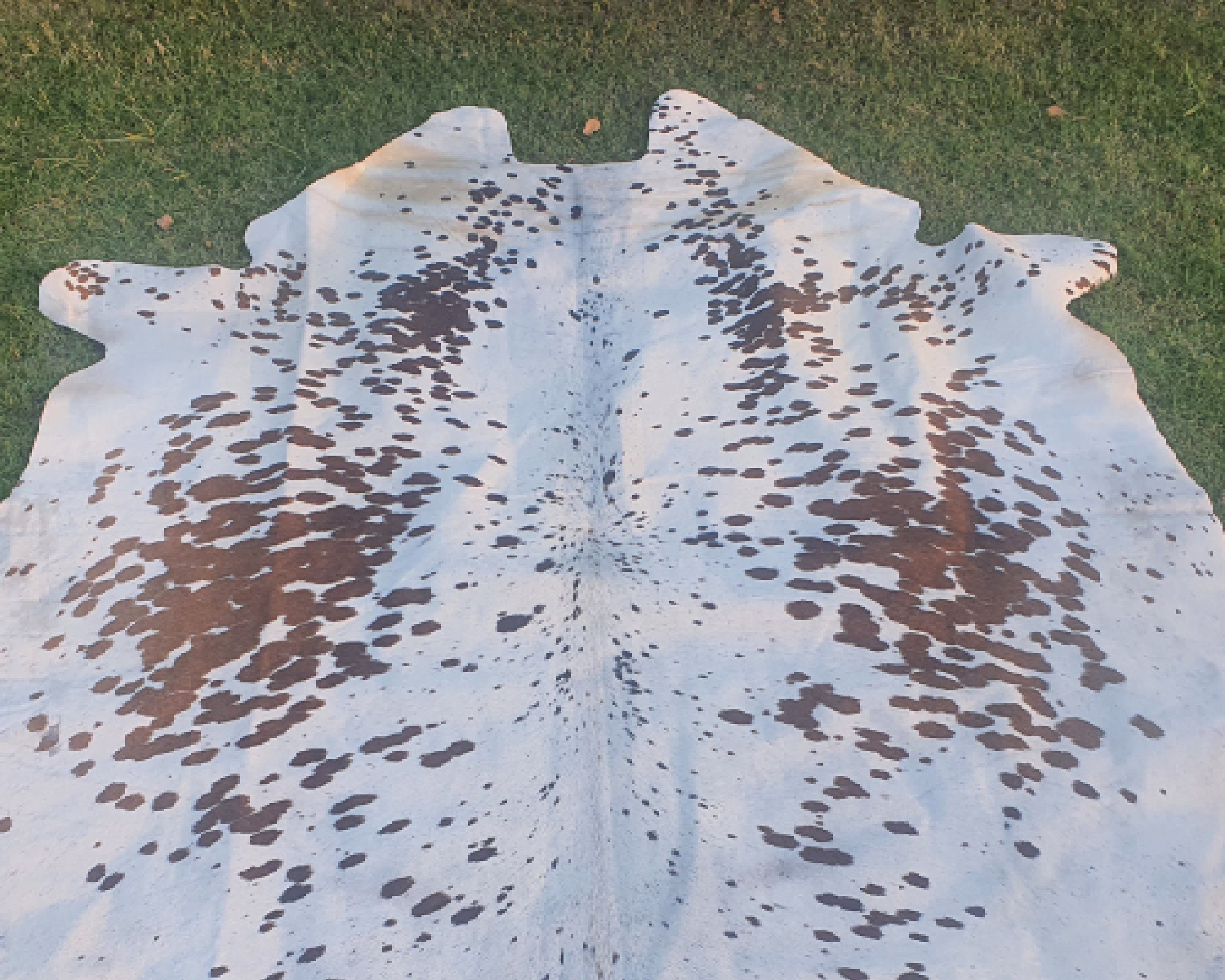 Real Cowhide Rug Brown and White Cow Hide Rugleather Etsy