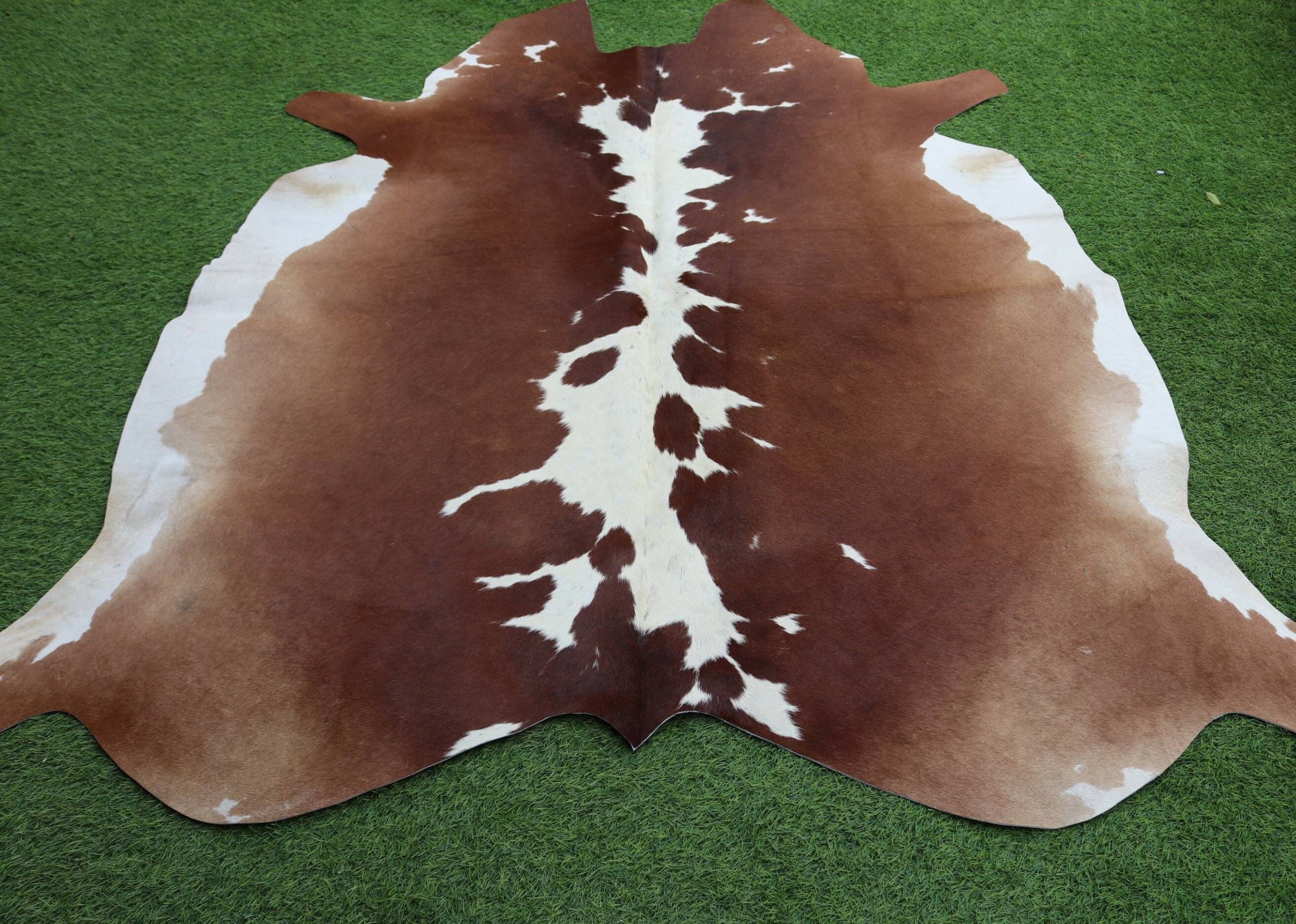 Exclusive Brown and White Cow Hide Area Rug, Brazilian Hair on Cow Skin ...