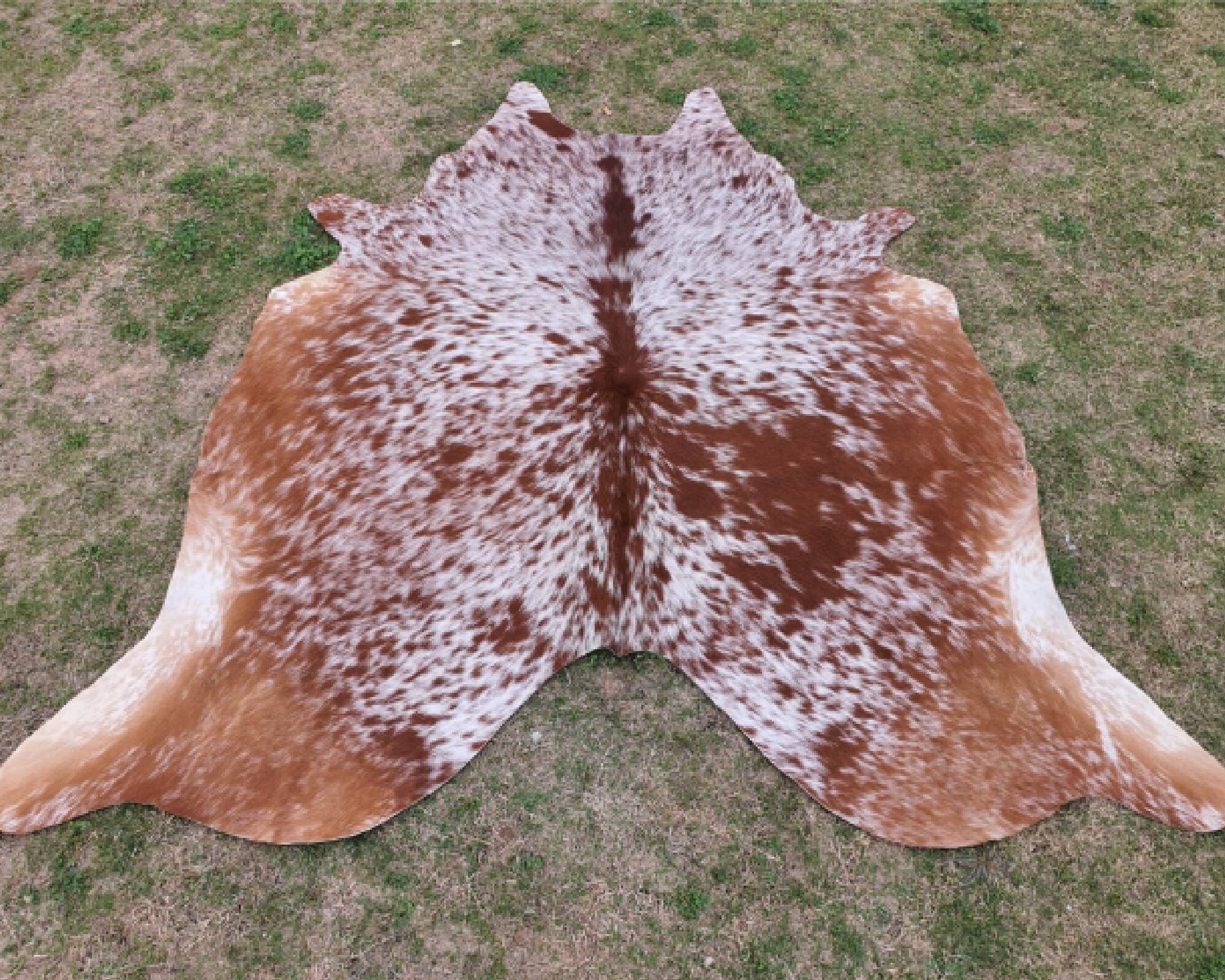 Best Brown Panda Print Cowhide Tricolor Animal Skin Brown - Etsy Best Brown Panda Print Cowhide Tricolor Animal Skin Brown - Etsy