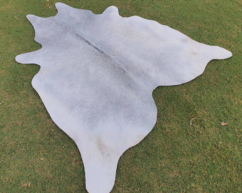 May include: A light gray cowhide rug with a natural, irregular shape. The rug has a soft, fuzzy texture and is laid out on a green grassy surface.