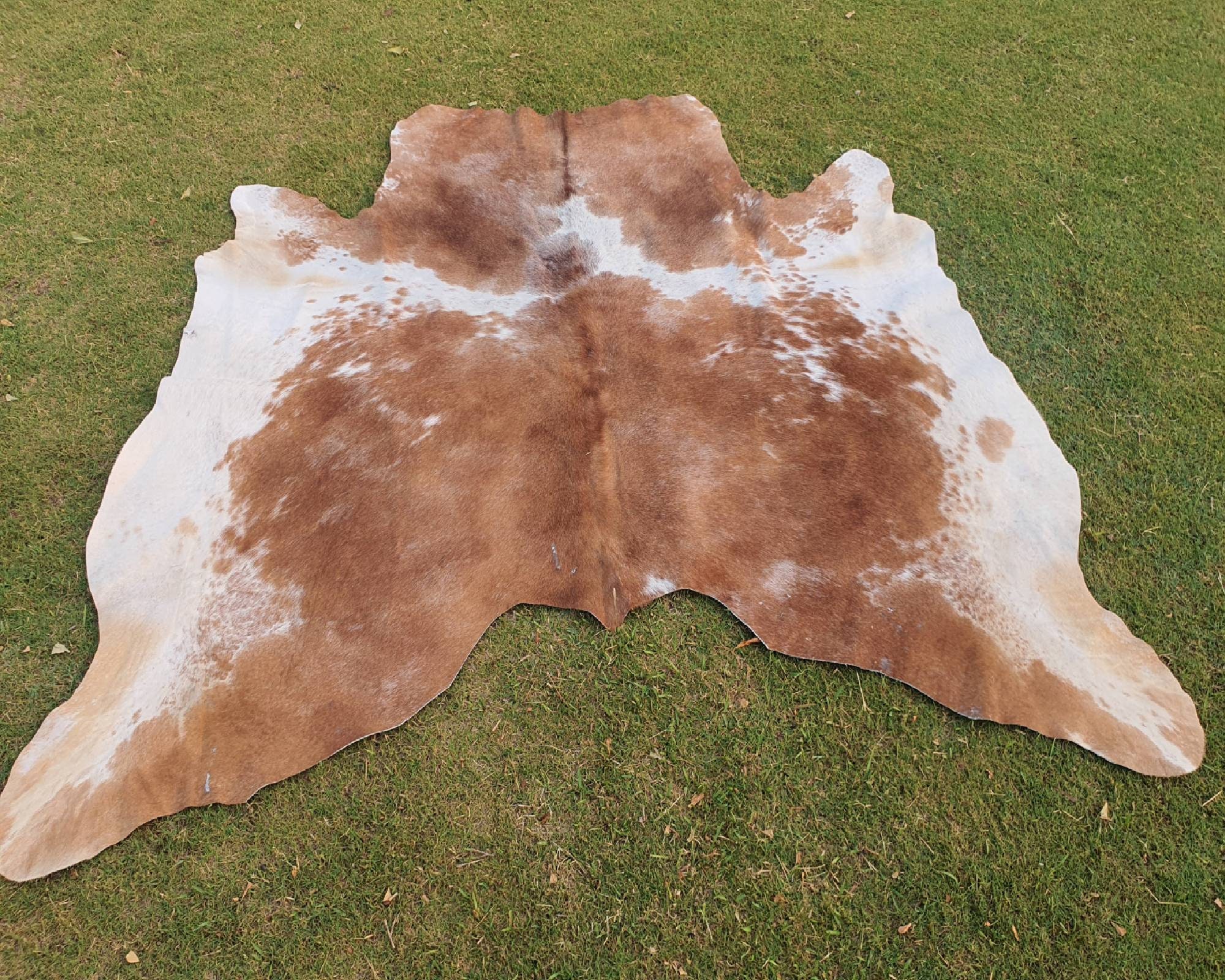 Large Brown White Real Animal Skin Rug for Living Room Hair - Etsy Australia Large Brown White Real Animal Skin Rug for Living Room Hair - Etsy Australia