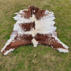 May include: A brown and white cowhide rug with a natural, spotted pattern. The rug is laid out on a green grassy surface.
