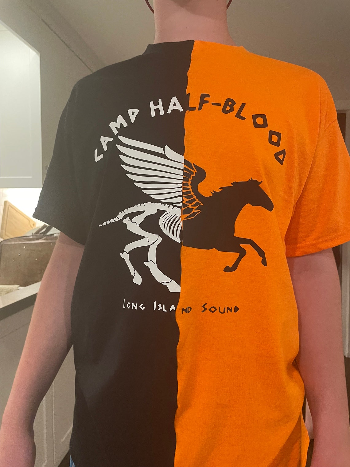 Camp Halfblood Tshirt, Split Shirt, Nico and Will, Solangelo Shirt