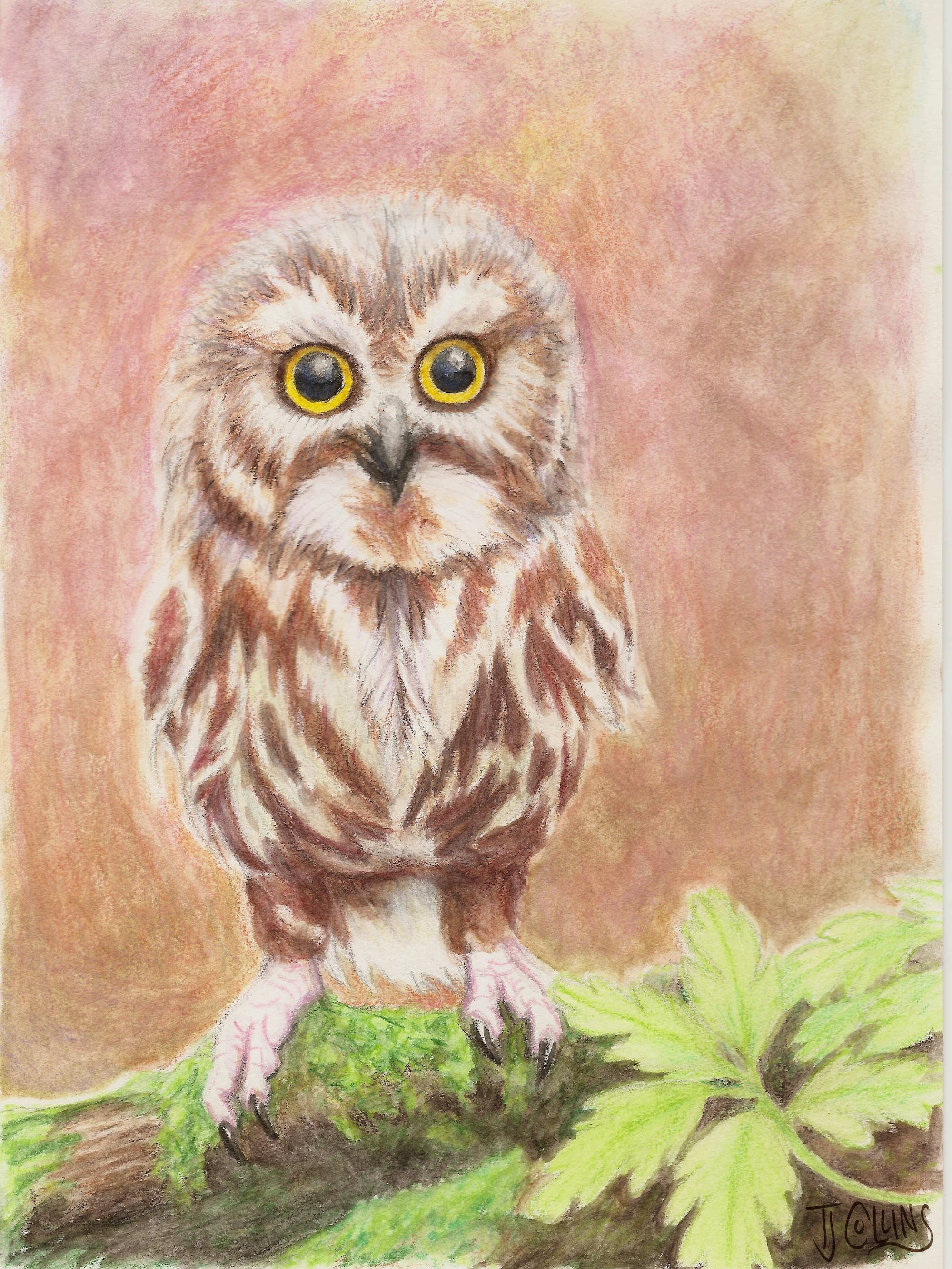 Print Owl Watercolor Pencil Painting