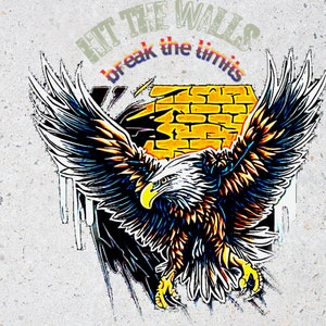 hit the walls break the limits file print