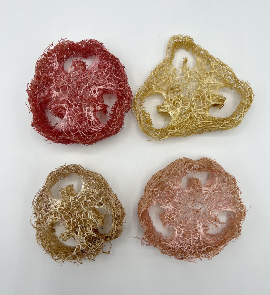 Fruit Flavored Loofah Slices for Rabbits, Chinchillas, & Other Small Pets, Rabbit Chew Toy