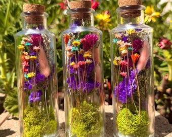 Wildflower Meadow Terrarium: Dried Flowers - Bookshelf & Desk Decor, Glass Vase, Gifts For Her