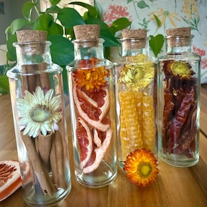 May include: Four clear glass bottles with cork stoppers, each filled with different dried botanicals. One bottle contains cinnamon sticks and a white flower, another has dried grapefruit slices and an orange flower, and the others have honeycomb and red peppers.