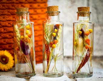 Warm Colors & Spices Terrarium: Dried Flowers, Home Decor - Spice Rack Jars
