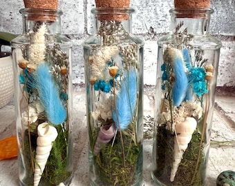 Beach House Terrarium : Dried Flowers & Seashells, Book Shelf Decor, Gifts For Her