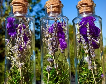 Lavender Field Terrarium: Dried Flowers - Bookshelf & Desk Decor, Flower Vase, Gifts For Her