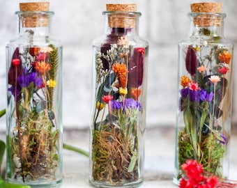 Fall Forest Terrarium: Dried Flowers - Book Shelf & Desk Decor, Flower Vase, Gifts For Her