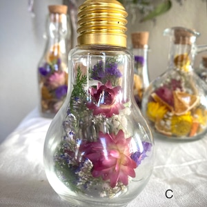 Dried Flower Apothecary Jars Botanical Glass Vials Mini Dried ...