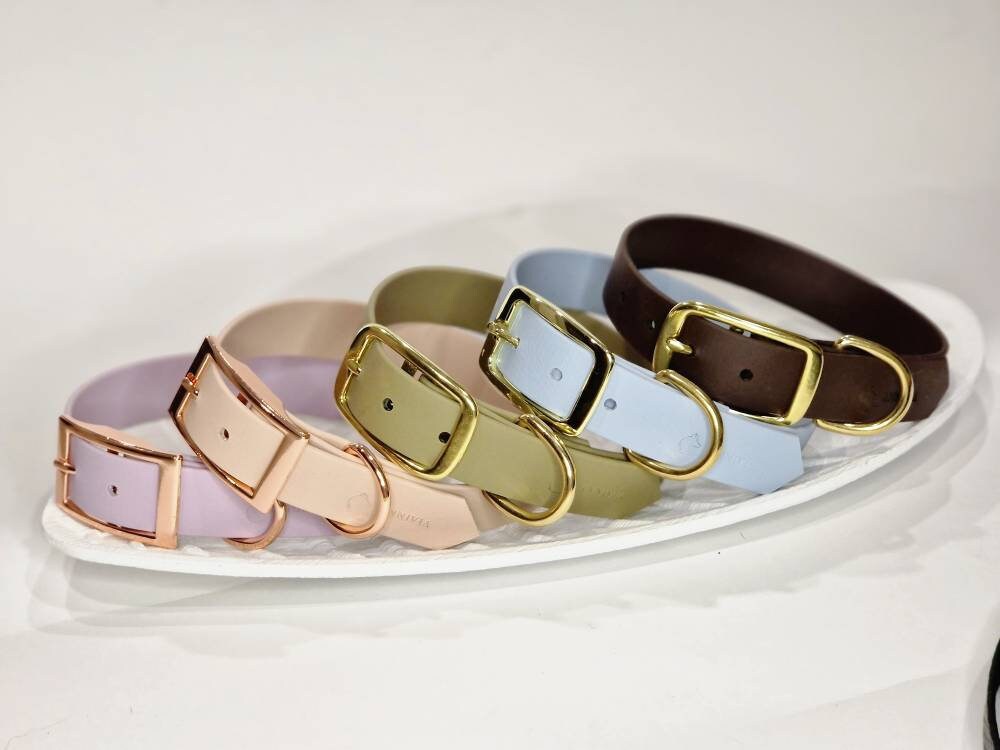 Biothane Dog Collar: Waterproof Vegan Leather, Adjustable, Custom Color
