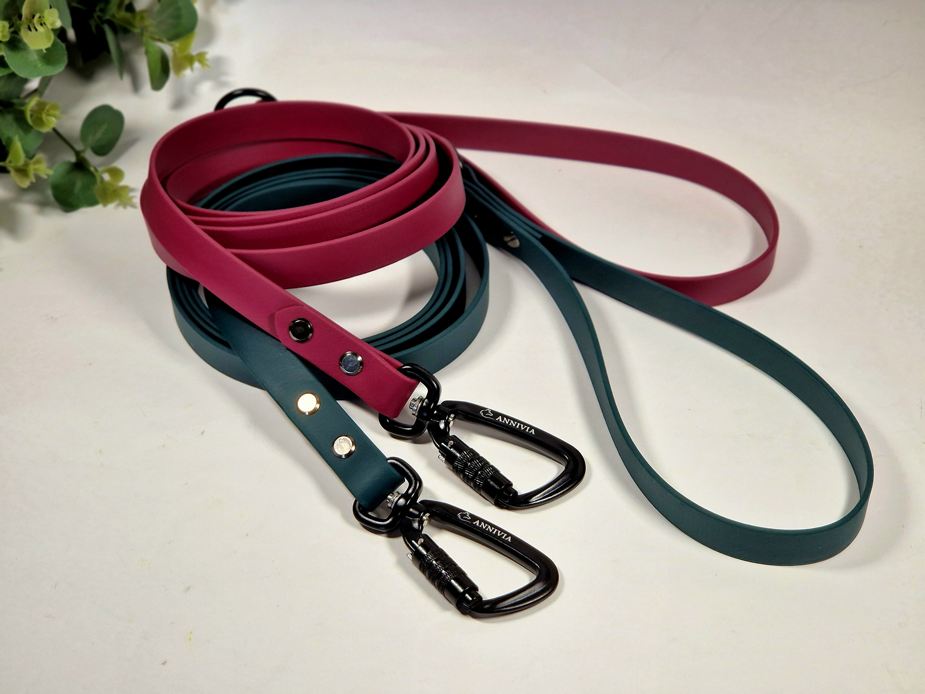 Hundeleine mit sicherheitskarabiner - Etsy.de