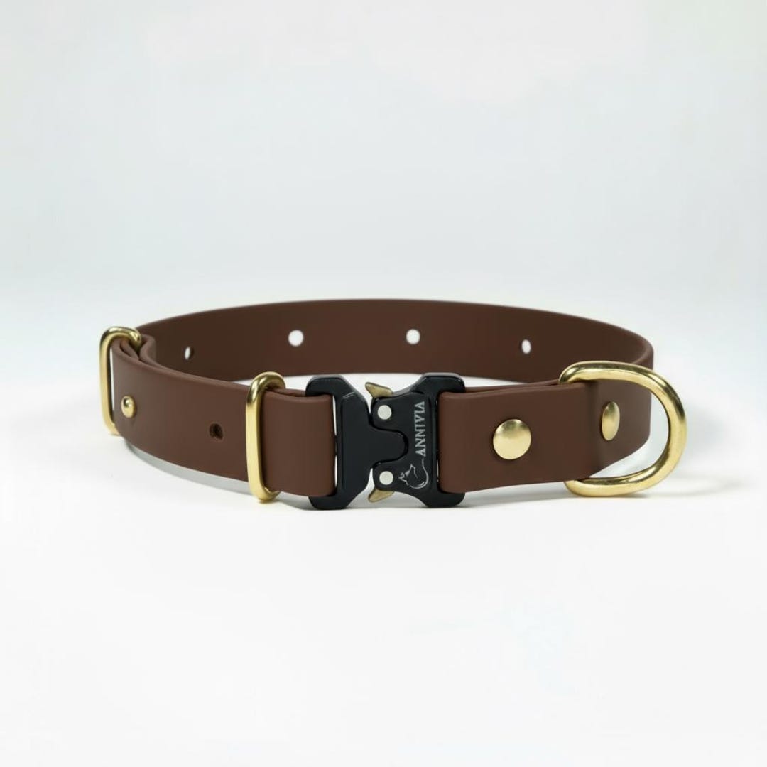 Biothane Gold Dark Brown Biothane Dog Collar: Gold Brass Hardware, Safe-lock Buckle ...