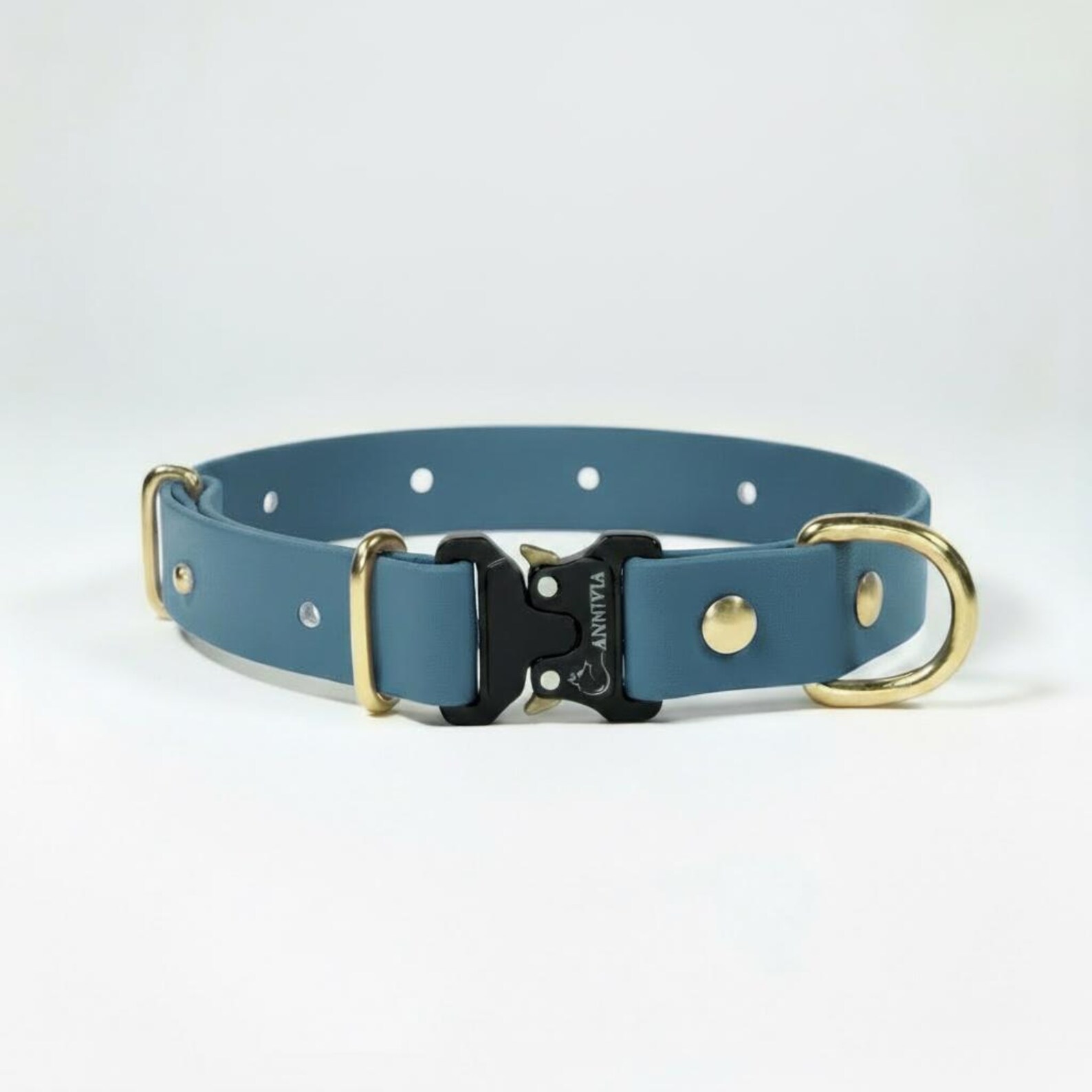 Biothane Gold Biothane Gold Elegance Dog Collar: Petrol With Gold Brass Hardware ...