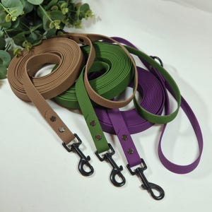 Correa vegana impermeable para perros Hexa: cincha revestida fácil de limpiar, 20 mm