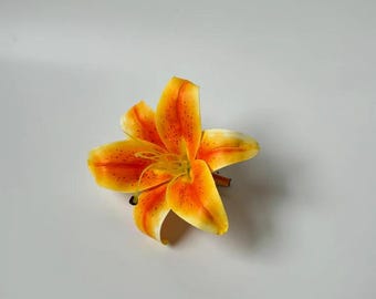 oranje lelie krokodillenklem