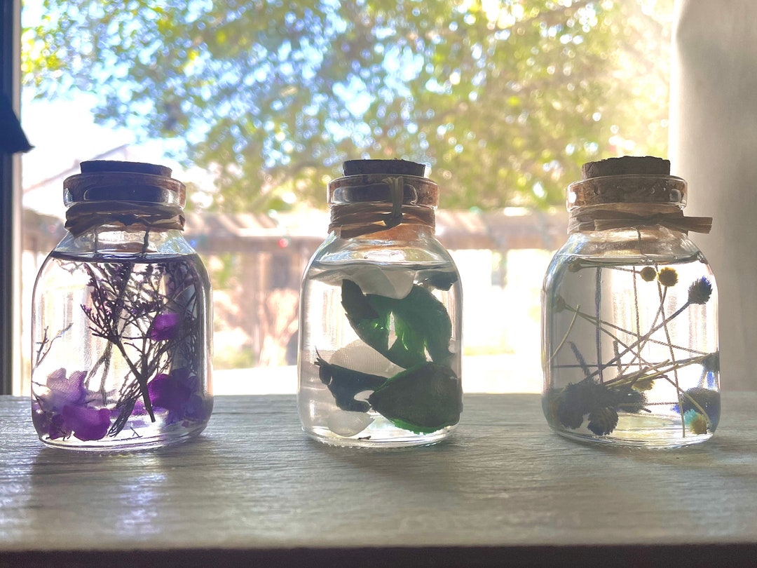 3 Terrarium / Herbarium Jar Decor Etsy