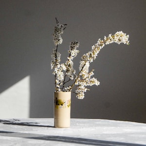Könnte beinhalten: Eine beige Keramikvase mit floralem Design hält Zweige mit weißen Blüten. Die Vase steht auf einer weißen Tischdecke, mit einer grauen Wand im Hintergrund. Das Sonnenlicht wirft einen Schatten auf die Wand und den Tisch.