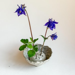 May include: A ceramic flower vase with a speckled gray exterior, holding vibrant blue columbine flowers and green foliage. The vase has a unique, textured design and a built-in floral frog for arranging stems. The arrangement is set against a white background.