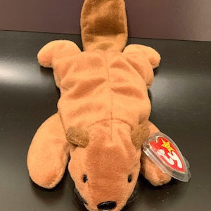 Bucky the Beaver