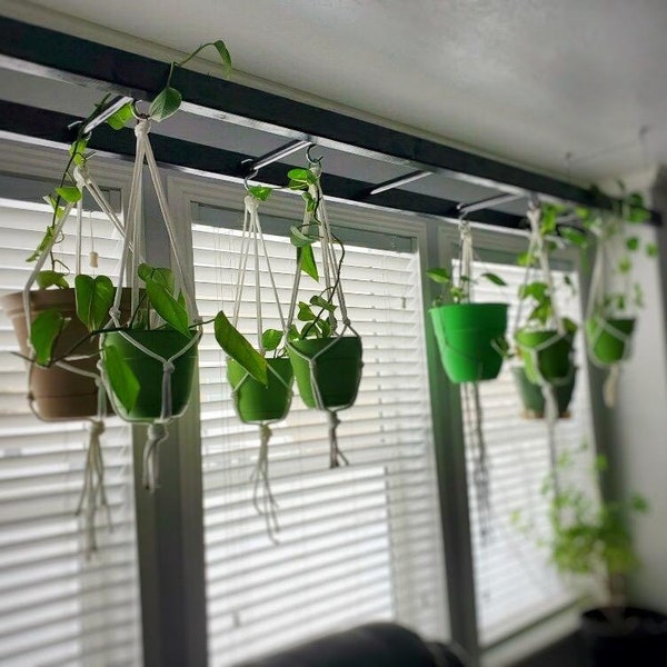 Plant organization ladder