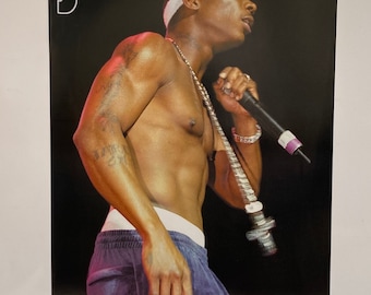 Bamboozled! Ja Rule Pop Culture Print - Etsy