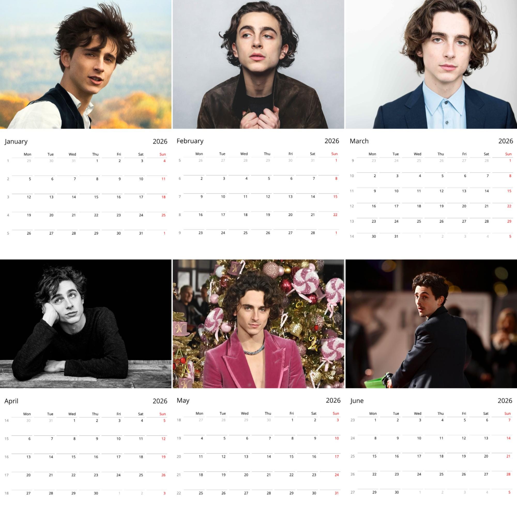 Calendario De Pared Timothée Chalamet 2026 - Tamaño A3 (30x42 Cm), 12 Meses Con Fotos A Gran Tamaño
