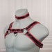 Sexy Chest Harness Red Collar with Buckles D-rings.Outfit Gay Accessoires Cosplay Sex Puppy Erotic Size BDSM Fetish rubber gear Latex Unisex 